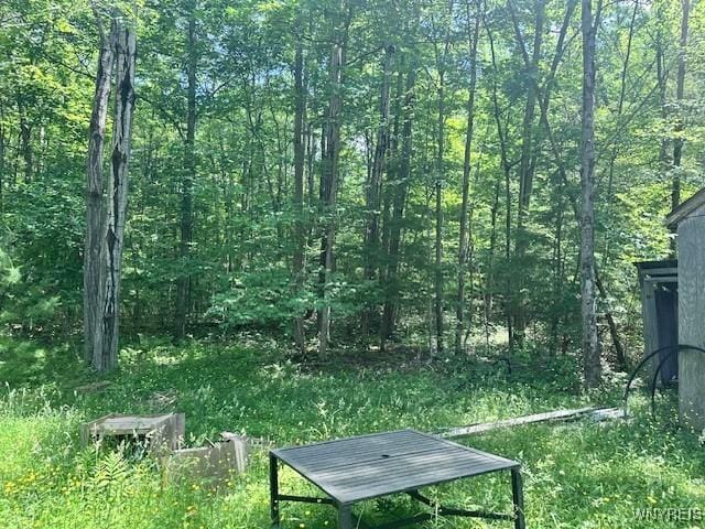 8546 Seneca Way, Caneadea, NY 14717 - photo 7