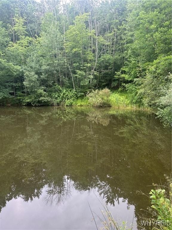 8546 Seneca Way, Caneadea, NY 14717 - photo 12