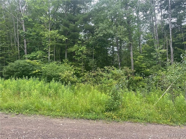 8546 Seneca Way, Caneadea, NY 14717 - photo 15