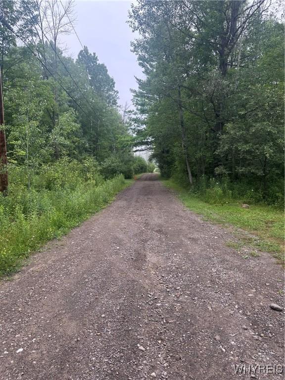 8546 Seneca Way, Caneadea, NY 14717 - photo 16