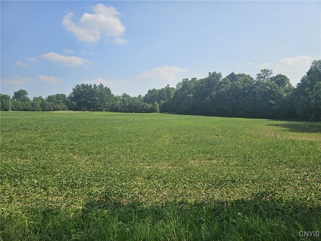 Clinton Rd, Brutus, NY 13166 - photo 1