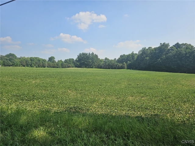 Clinton Rd, Brutus, NY 13166 - photo 2