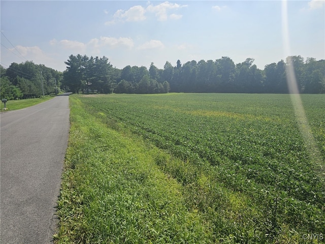 Clinton Rd, Brutus, NY 13166 - photo 4