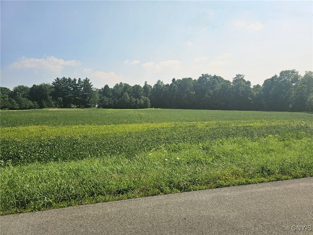 Clinton Rd, Brutus, NY 13166 - photo 5
