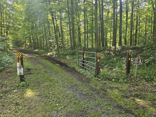 Clinton Rd, Brutus, NY 13166 - photo 8