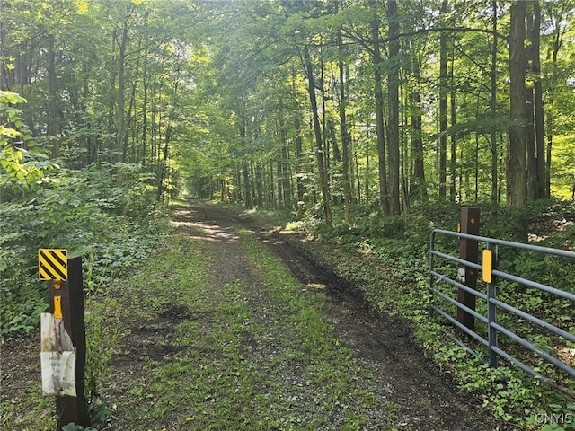 Clinton Rd, Brutus, NY 13166 - photo 10
