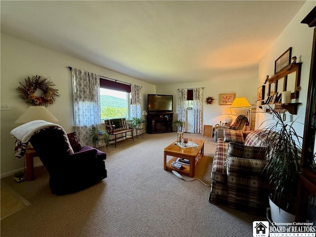 1568 Portville Obi Rd, Genesee, NY 14770 - photo 10