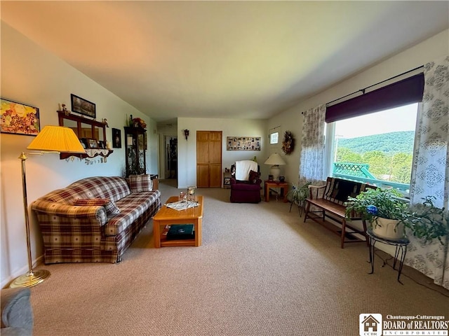 1568 Portville Obi Rd, Genesee, NY 14770 - photo 9