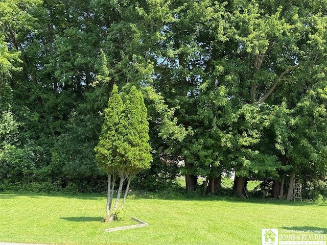 141 Longview Ave, Ellicott, NY 14701 - photo 22