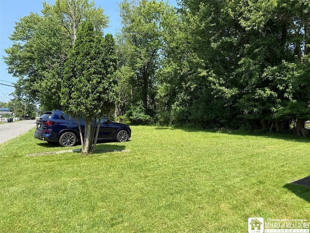 141 Longview Ave, Ellicott, NY 14701 - photo 24