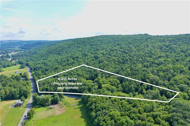 125 Airport Rd, Laurens, NY 13820 - photo 4