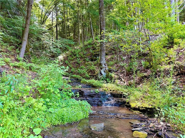 125 Airport Rd, Laurens, NY 13820 - photo 36