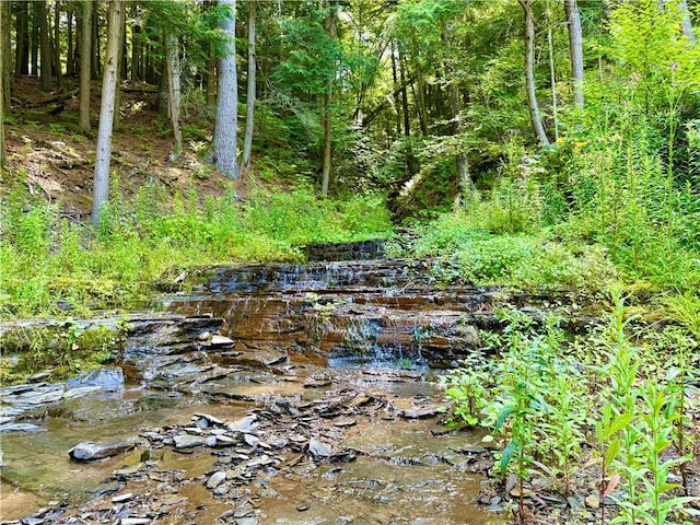 125 Airport Rd, Laurens, NY 13820 - photo 37