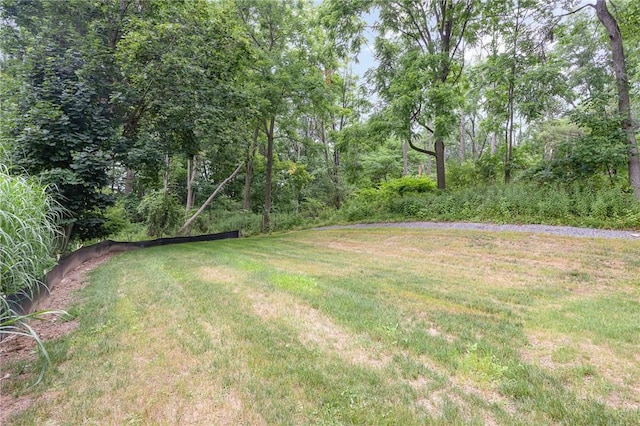 382 Fisher Circle Rd W, Victor, NY 14564 - photo 25