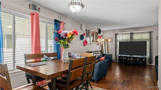 46 Alexander Ave, Cheektowaga, NY 14211 - dining space featuring a textured ceiling, healthy amount of natural light, and hardwood / wood-style floors
