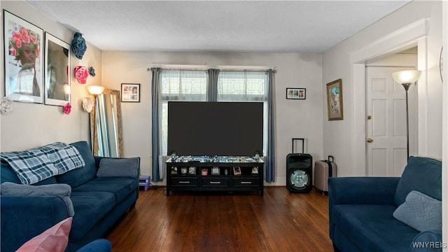 46 Alexander Ave, Cheektowaga, NY 14211 - living room featuring wood finished floors