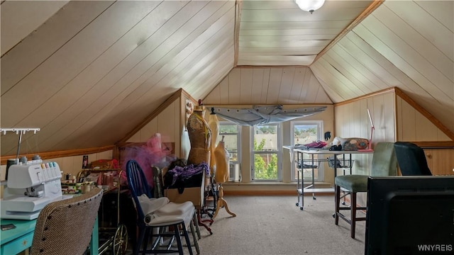 46 Alexander Ave, Cheektowaga, NY 14211 - bonus room with lofted ceiling, carpet flooring, and wood walls
