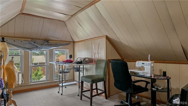 46 Alexander Ave, Cheektowaga, NY 14211 - office space featuring lofted ceiling, carpet floors, and wooden walls