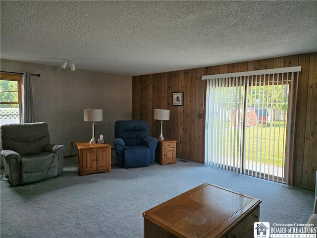 10 Georges Pl, Pomfret, NY 14063 - photo 9