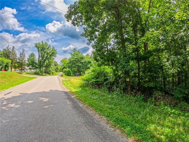 2860 Merriam Rd, Ashland, NY 14894 - photo 22