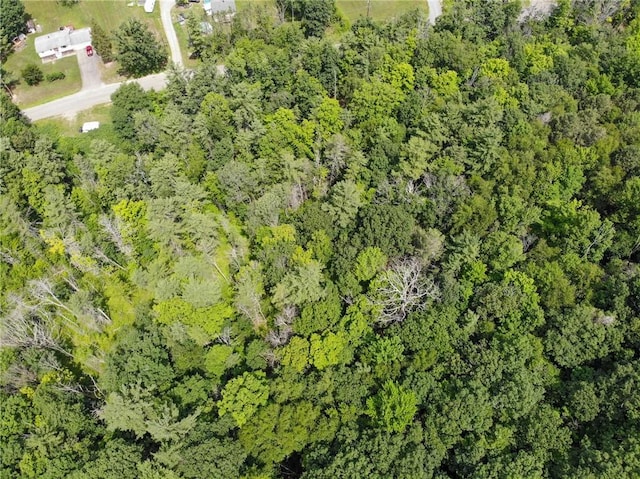 2860 Merriam Rd, Ashland, NY 14894 - photo 28