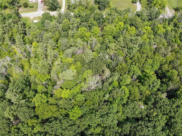 2860 Merriam Rd, Ashland, NY 14894 - photo 29