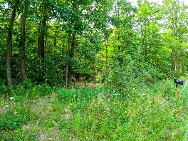 2860 Merriam Rd, Ashland, NY 14894 - photo 4