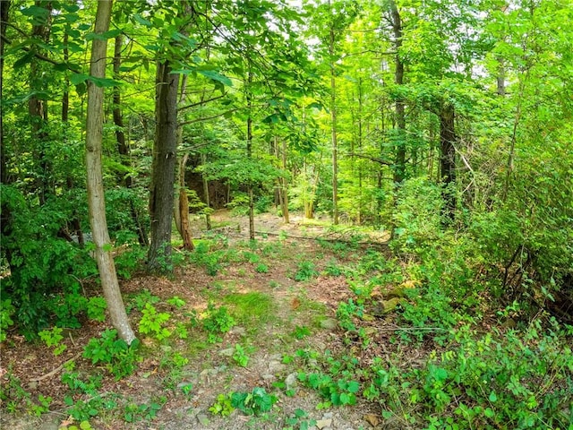 2860 Merriam Rd, Ashland, NY 14894 - photo 5
