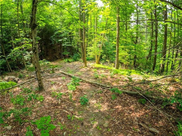 2860 Merriam Rd, Ashland, NY 14894 - photo 6