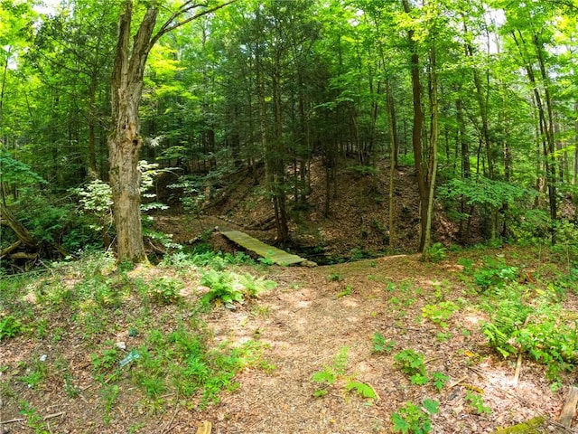 2860 Merriam Rd, Ashland, NY 14894 - photo 7