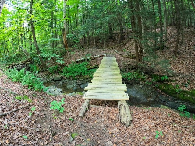 2860 Merriam Rd, Ashland, NY 14894 - photo 8