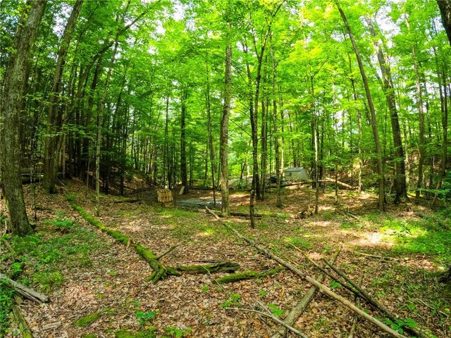 2860 Merriam Rd, Ashland, NY 14894 - photo 12