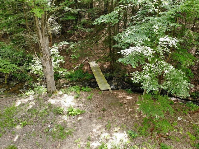 2860 Merriam Rd, Ashland, NY 14894 - photo 23