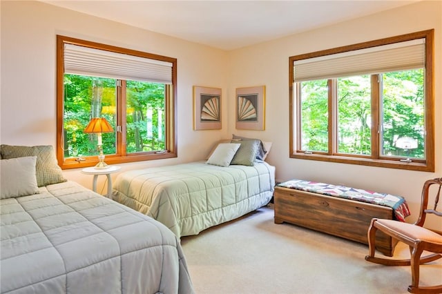 326 Panorama, Penfield, NY 14625 - photo 37