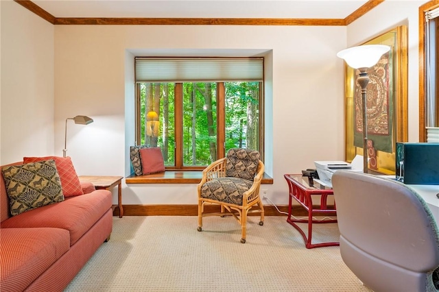 326 Panorama, Penfield, NY 14625 - photo 14
