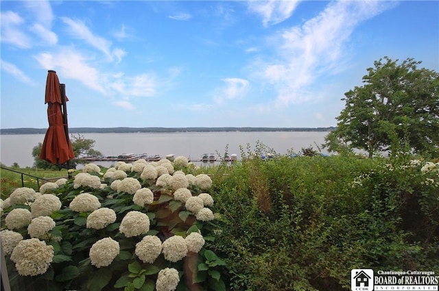 J35 Cayuga Dr, Chautauqua, NY 14728 - photo 17