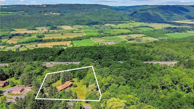 1505 US Route 11, Tully, NY 13159 - photo 46
