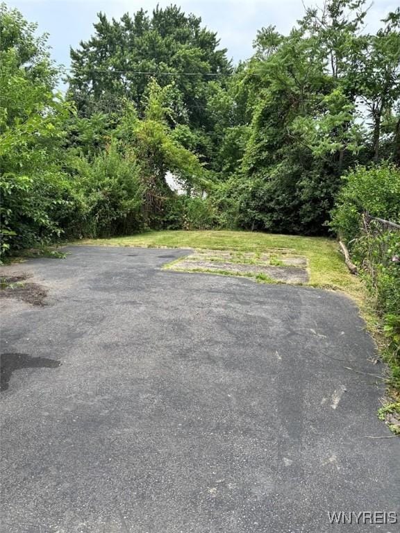 1068 E Lovejoy St, Buffalo, NY 14206 - photo 12
