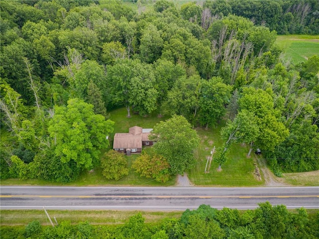 305 Rausler Rd, Farmington, NY 14425 - photo 8