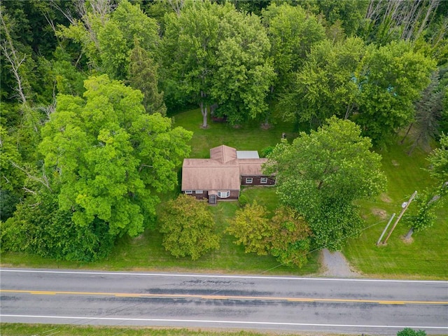 305 Rausler Rd, Farmington, NY 14425 - photo 9