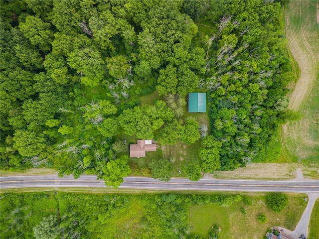 305 Rausler Rd, Farmington, NY 14425 - photo 10