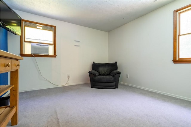 3552 Parker Rd, Marion, NY 14505 - photo 22