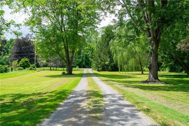 3552 Parker Rd, Marion, NY 14505 - photo 42