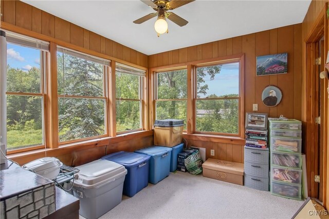 9111 E Mud Lake Rd, Lysander, NY 13027 - photo 28