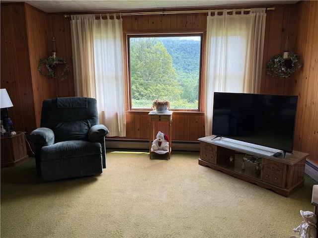8393 State Highway 7, Maryland, NY 12155 - photo 5