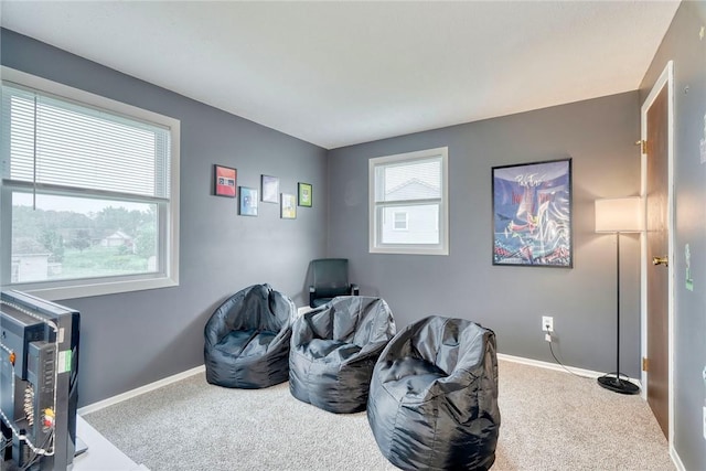 61 Sunapee Run, Greece, NY 14468 - photo 30