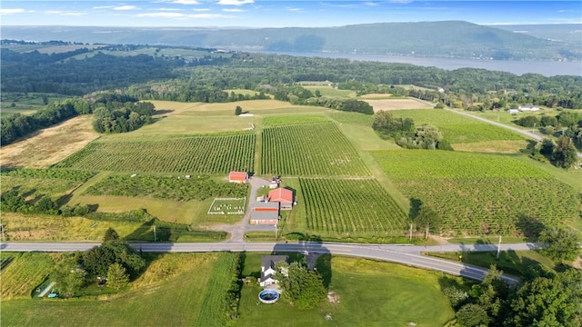 5506 State Route 21, South Bristol, NY 14424 - photo 37