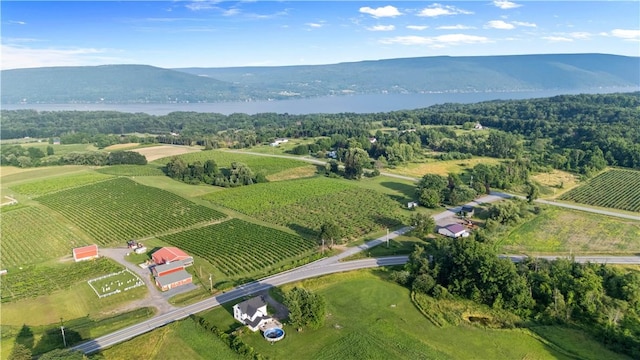 5506 State Route 21, South Bristol, NY 14424 - photo 38