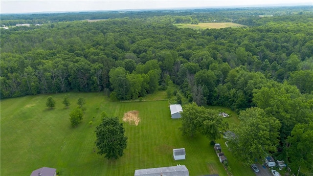 1747 Burgess Rd, Waterloo, NY 13165 - photo 7