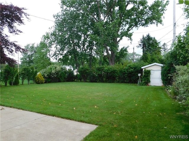18 Joanie Ln, Amherst, NY 14228 - photo 6